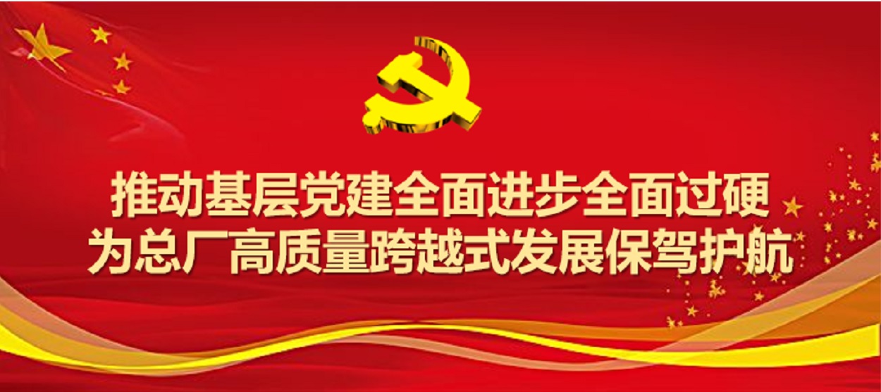新宝GG圆满实现2019年度党支部工作及党支部书记考评工作
